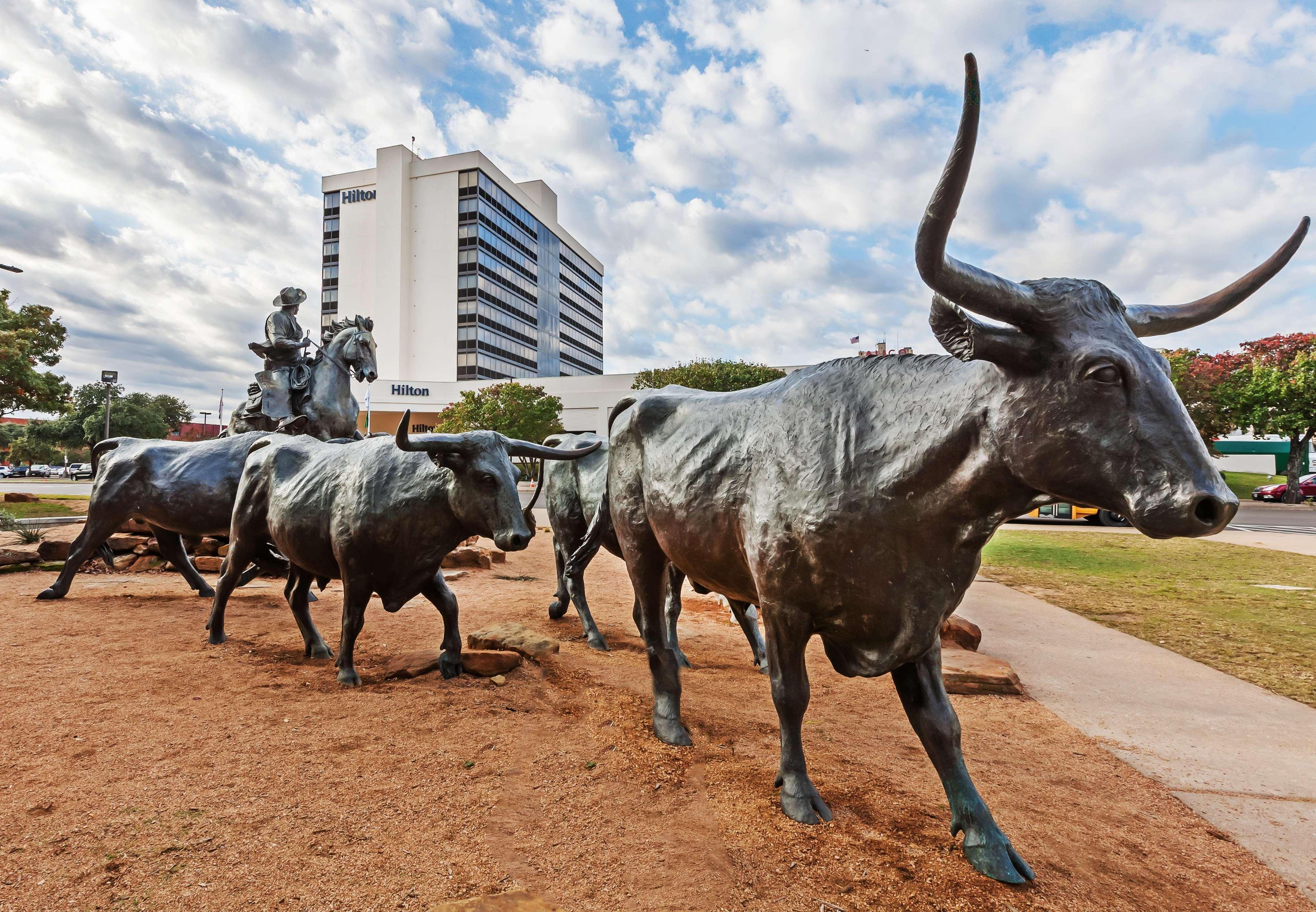 Hilton Waco Ξενοδοχείο Εξωτερικό φωτογραφία